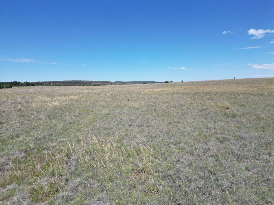 0 Bedroom Property for Sale in Bloemfontein Rural Free State